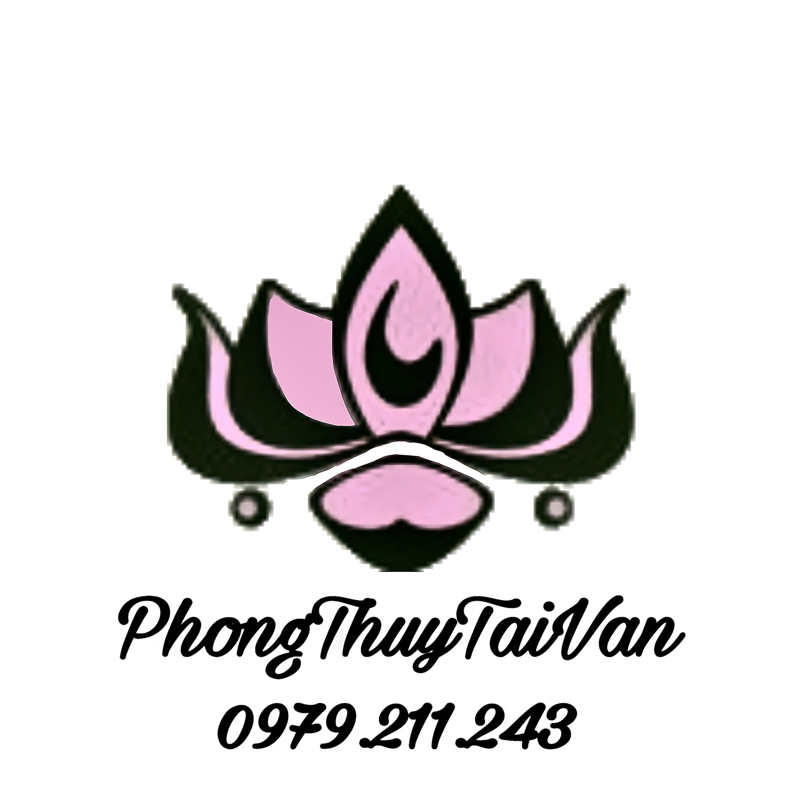 www.phongthuytaivan.vn